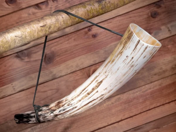 African Drinking Horn