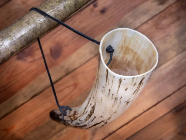 African Drinking Horn