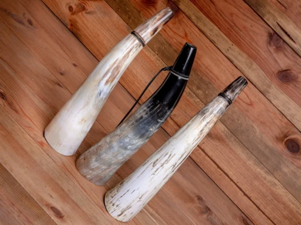 African Drinking Horn