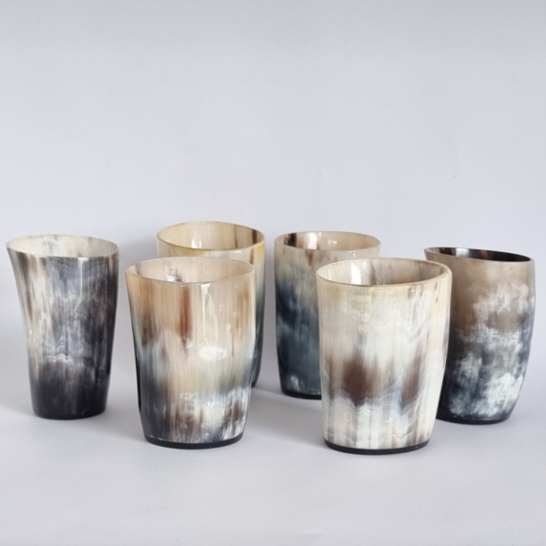 Viking Drinking Horn Glass