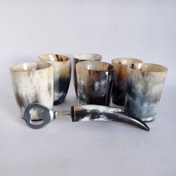 Viking Drinking Horn Glass