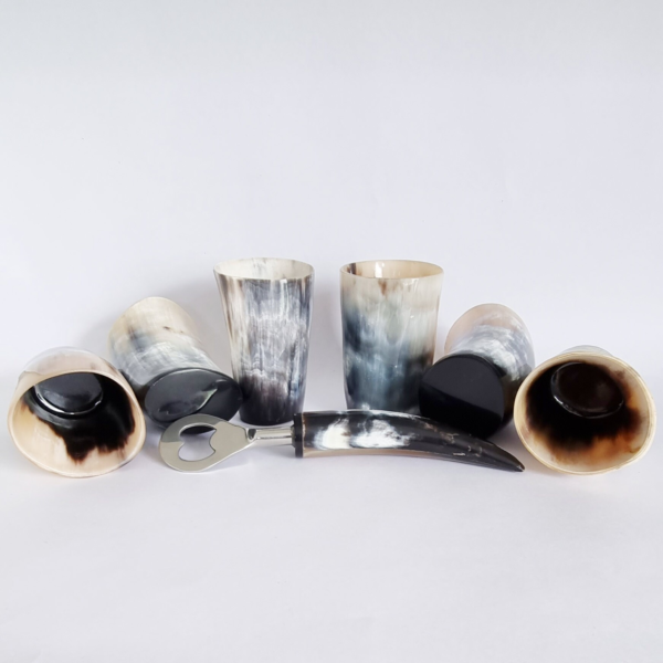 Viking Drinking Horn Glass