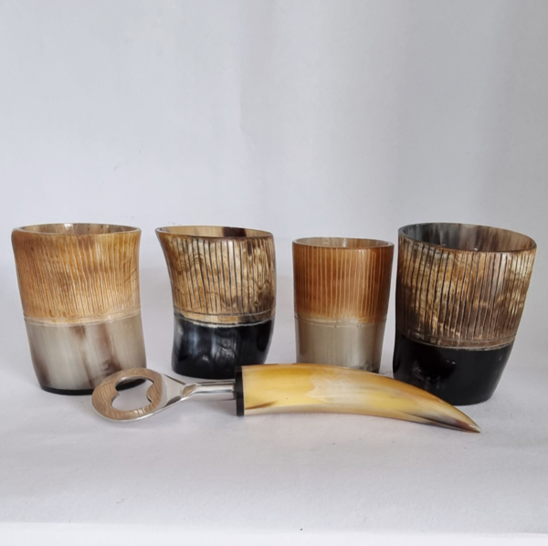 Viking Drinking Horn Glass