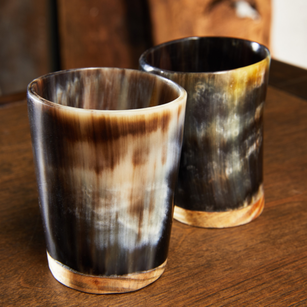 Viking Horn Shot Glasses