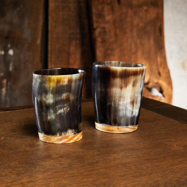 Viking Horn Shot Glasses