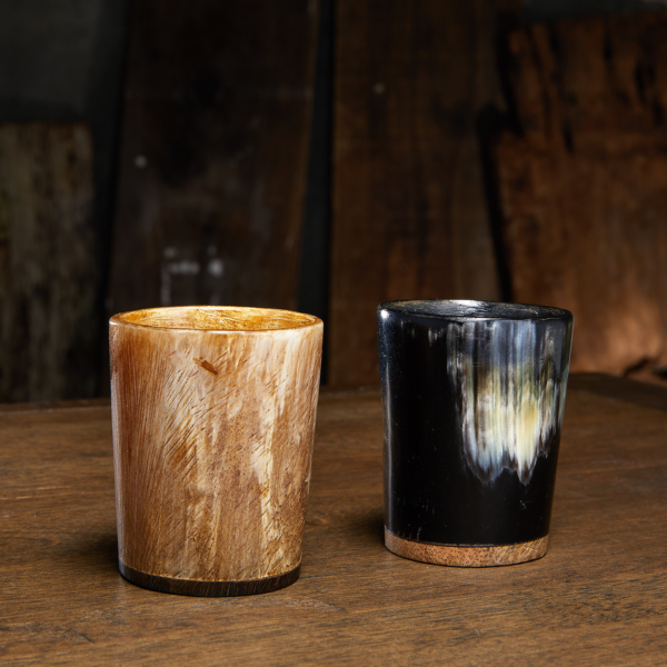 Viking Horn Shot Glasses