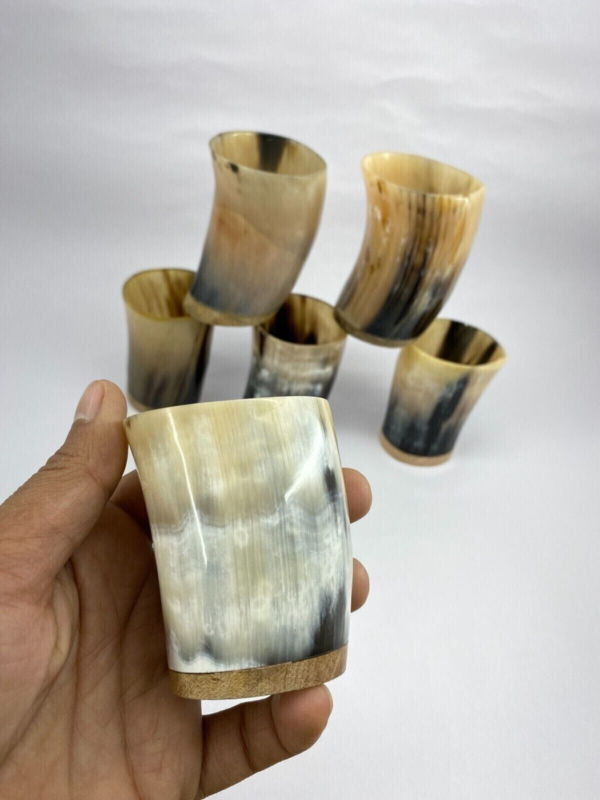Viking Horn Shot Glass