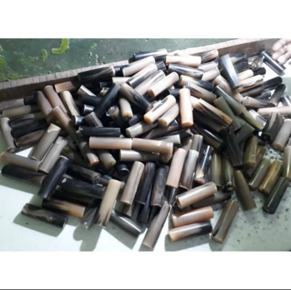 Buffalo Horn Rolls for Handles